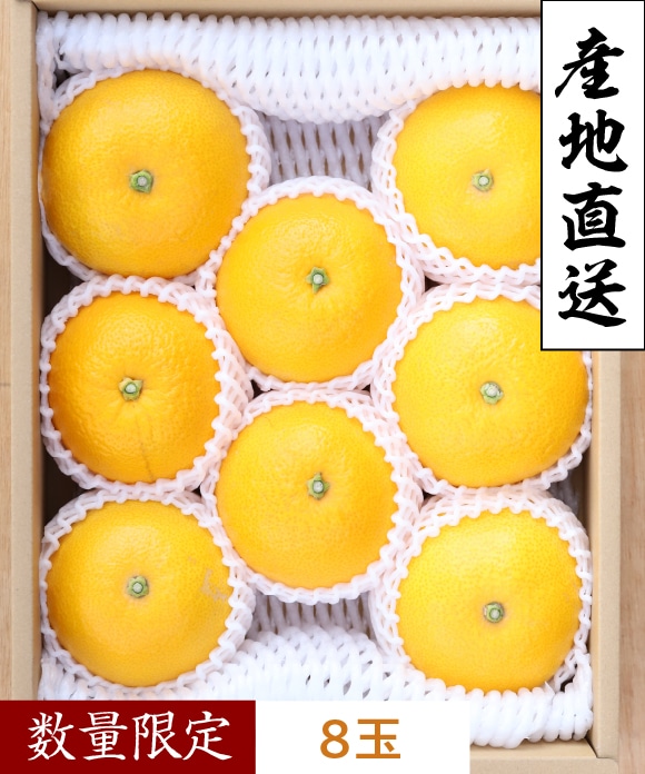 八朔（はっさく）プレミアム規格(約8玉) プレミアム規格(約8玉)