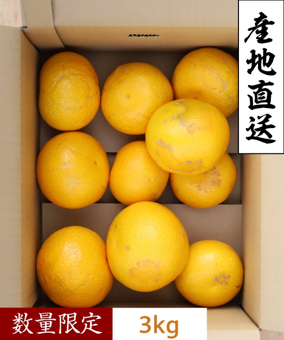 八朔（はっさく）規格外3kg(大小混合) 規格外3kg(大小混合)