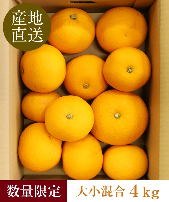 八朔(はっさく) 4kg 大小混合 八朔(はっさく) 4kg 大小混合
