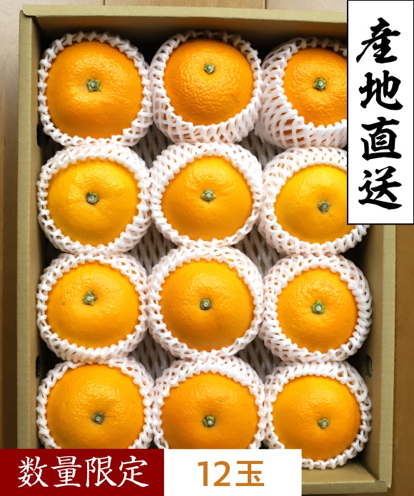 紅八朔（べにはっさく）シルバー規格(約12玉) シルバー規格(約12玉)