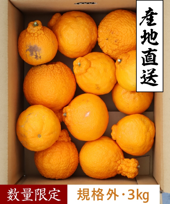 デコ柑 大小混合(規格外) 3kg 大小混合(規格外) 3kg