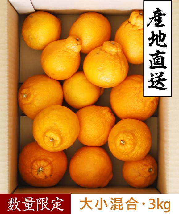 デコ柑 大小混合 3kg 大小混合 3kg