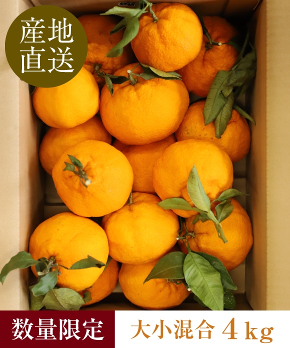 デコ柑 4㎏ 大小混合 デコ柑 4㎏ 大小混合