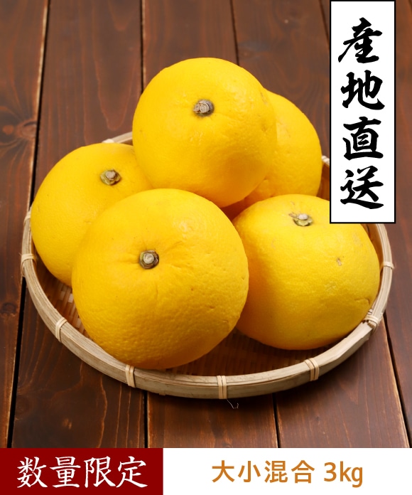 文旦(ぶんたん)　3㎏　大小混合