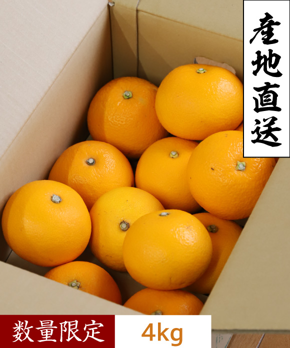 八朔（はっさく）L・２L 混合 4kg L・２L 混合 4kg