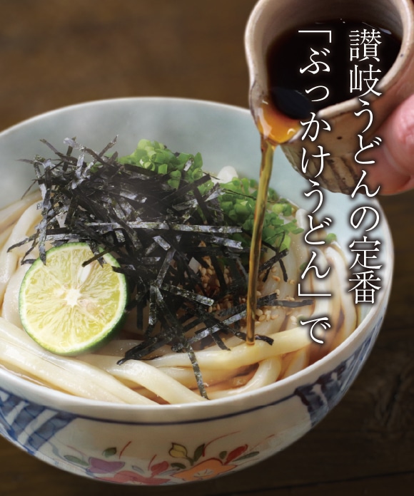 半生 手打ち式 讃岐うどん 250g