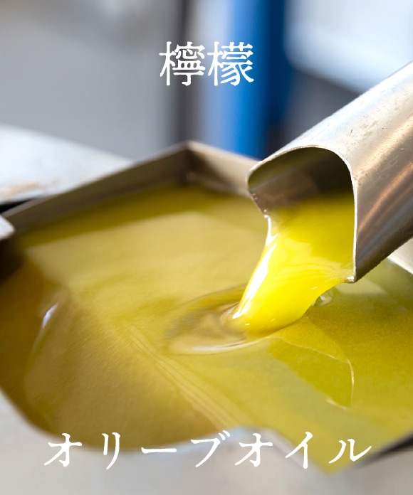 檸檬オリーブレアチーズケーキ