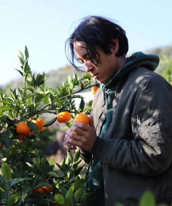 蔵出しみかん大小混合・3kg 大小混合・3kg