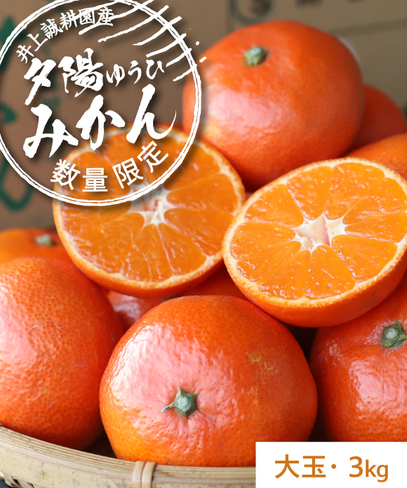 【年末特価】夕陽みかん・木成り完熟みかん 詰め合わせ 5kg