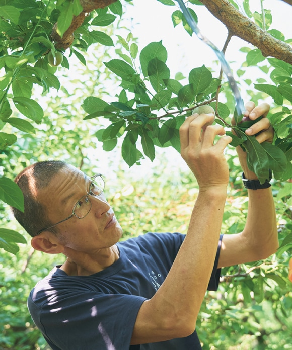 「幸太郎もも」のふきとり化粧水 150mL