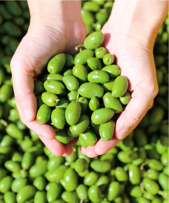小豆島産緑果オリーブオイル 90g 90g