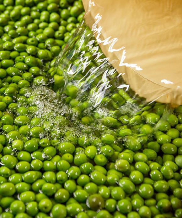 新漬けオリーブ「ミッション」種 小粒・規格外 80g 「ミッション」種 小粒・規格外 80g