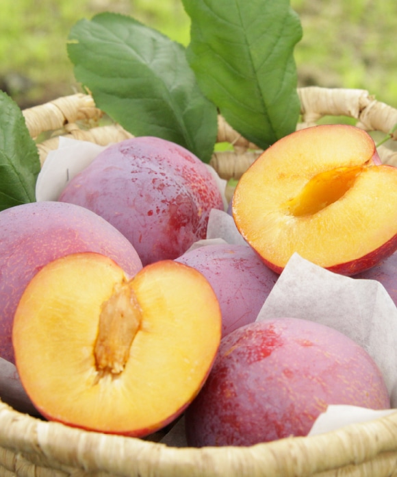 果実まるごとジャム 貴陽 110g