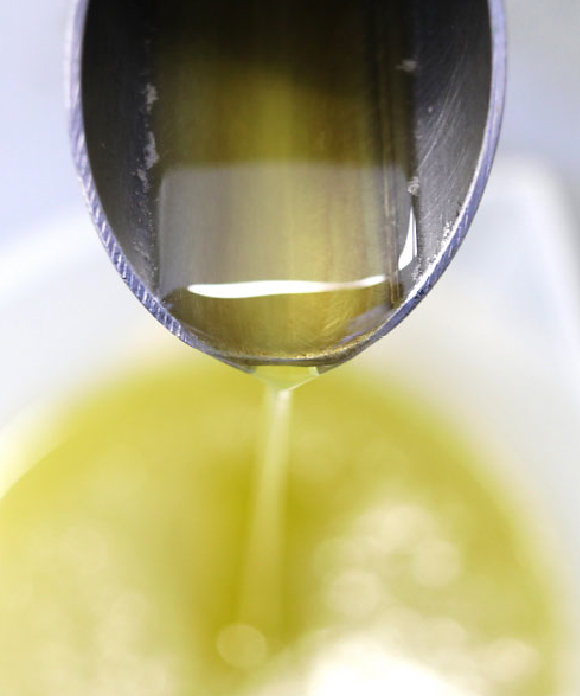 オリーブオイルで芋けんぴ 200g×10袋セット 200g×10袋【20%割引・送料無料】