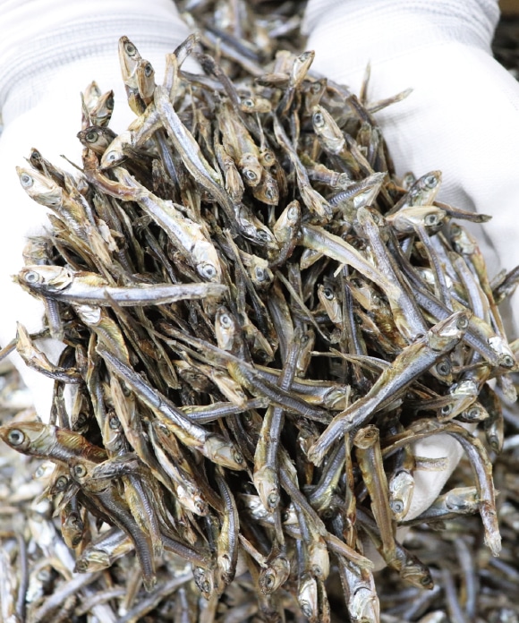 小豆島の田作り 45g 45g(20%割引)