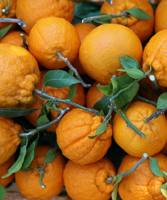 デコ柑 大小混合(規格外) 3kg 大小混合(規格外) 3kg