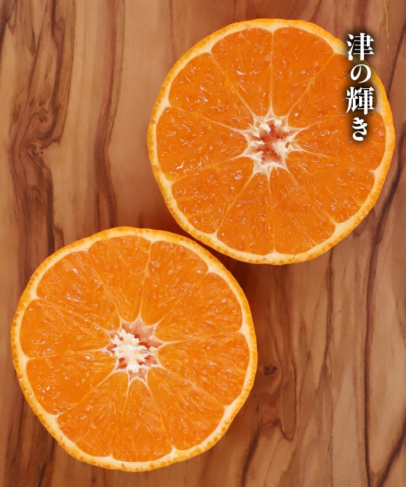 旬の柑橘詰め合わせ 5kg（スイートスプリング・津の輝） B（スイートスプリング・津の輝き）5kg