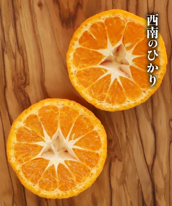 旬の柑橘詰め合わせ 5kg（スイートスプリング・西南のひかり） C（スイートスプリング・西南のひかり）5kg