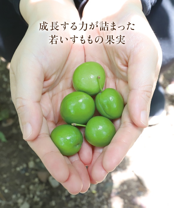 「幸太郎もも」のふきとり化粧水 150mL