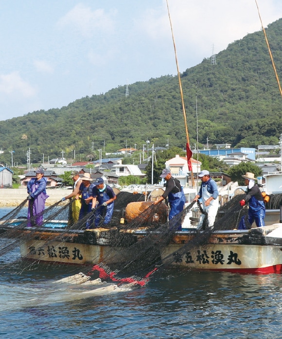 小豆島産 ままかり 40g