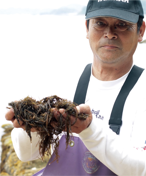 瀬戸内海 天然あかもくふりかけ 40g