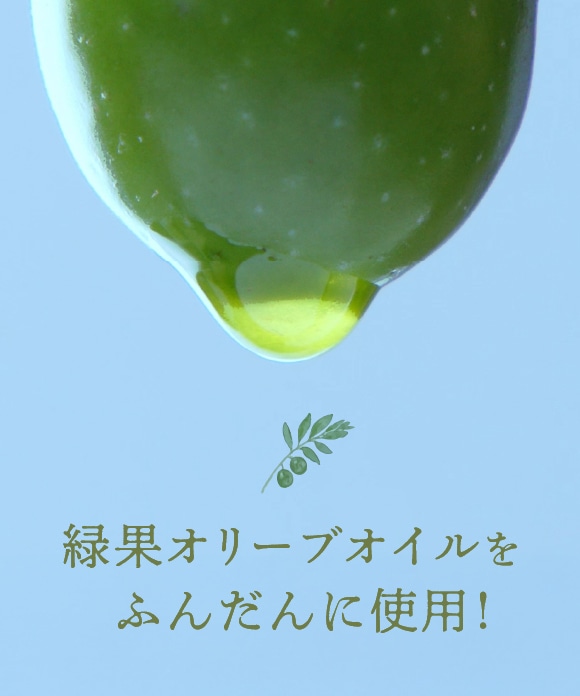 緑果オリーブロールケーキ 14.5cm