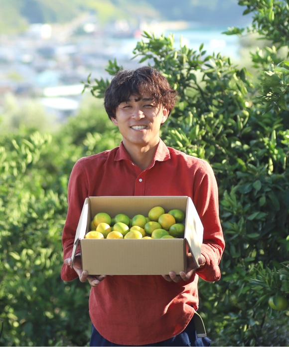 早もぎみかん(3kg・大小混合) 3㎏・大小混合