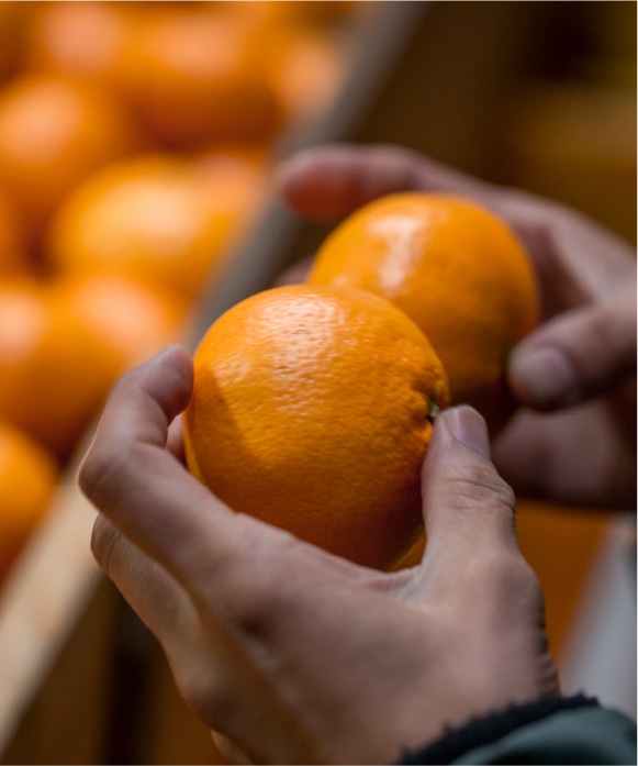 蔵出しみかん規格外・3kg 規格外・3kg