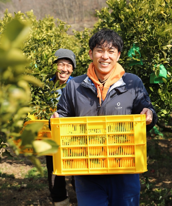 デコ柑 2L(特上) 2L(特上)