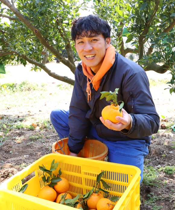 デコ柑 大小混合(規格外) 3kg 大小混合(規格外) 3kg