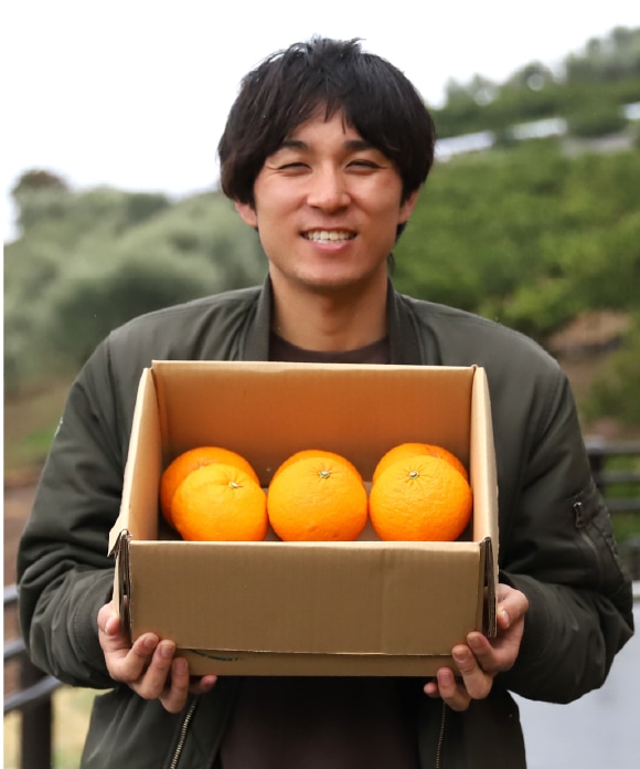 甘夏柑(あまなつかん) 大小混合 規格外 4kg 大小混合 規格外 4kg