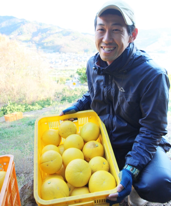 文旦(ぶんたん)　3㎏　大小混合