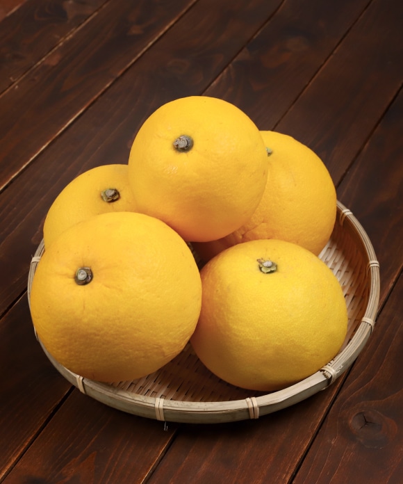 文旦(ぶんたん) 大小混合 5kg