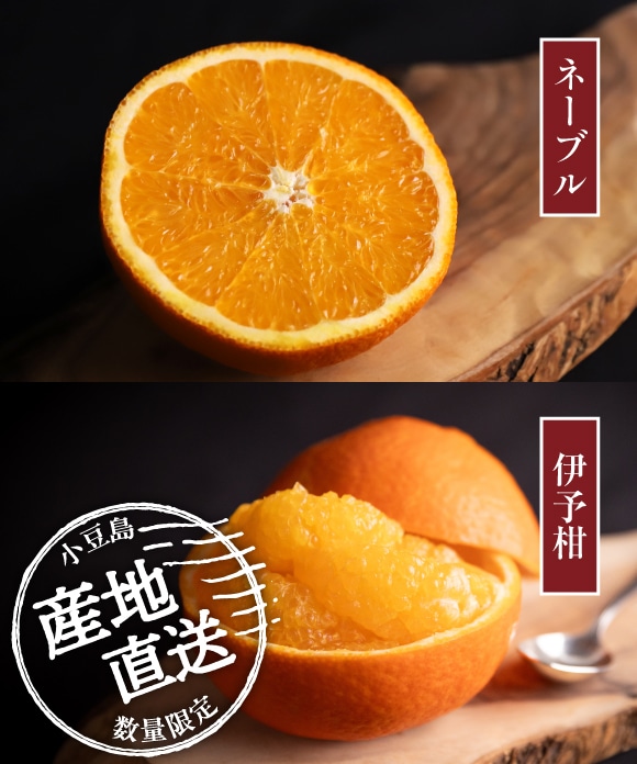 伊予柑とネーブル詰め合わせ 2kg 大小混合2kg
