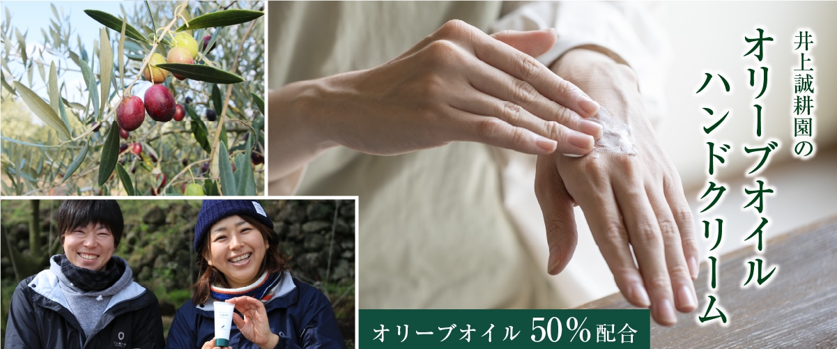 オリーブオイルハンドクリーム 60g カップタイプ 60g