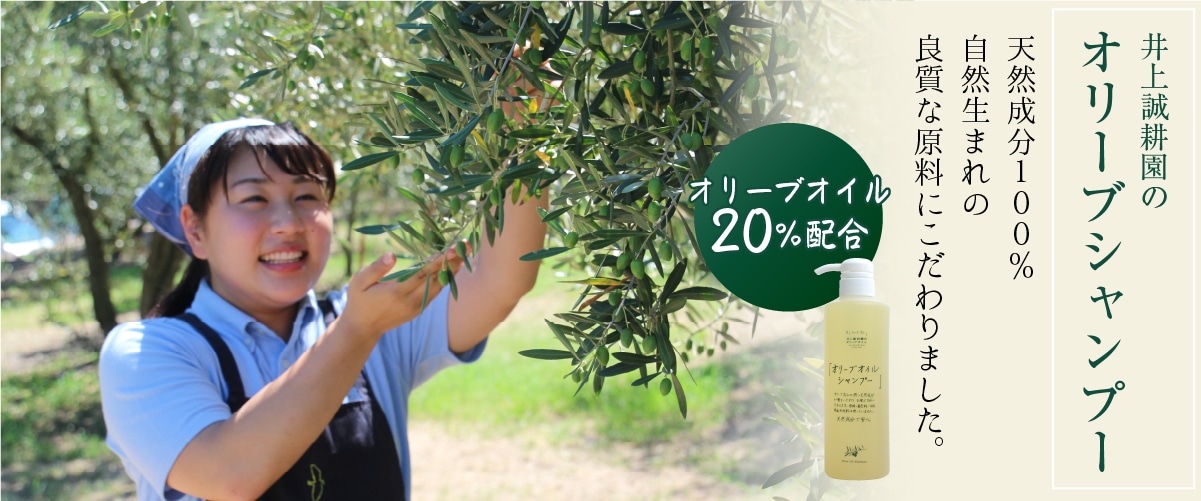 オリーブシャンプー 550g(詰め替え用) 550g(詰め替え用)