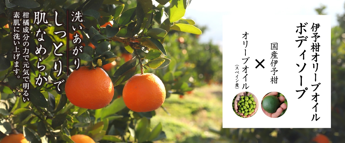 伊予柑オリーブオイルボディソープ 450mL