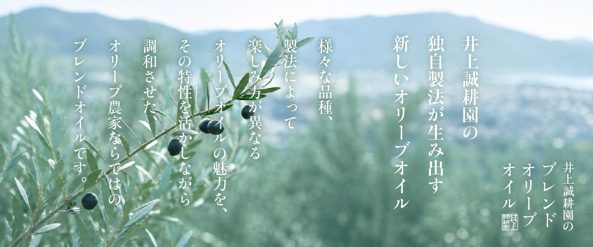 ライトブレンドオイル 117g
