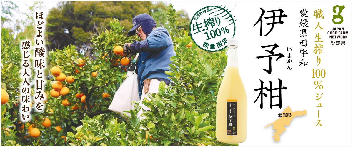 職人生搾り100％ジュース愛媛県特選・柑橘「伊予柑」720ml