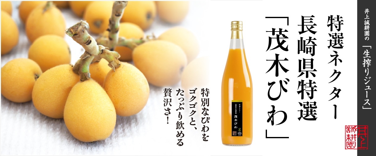 特選ネクター 長崎県特選「茂木びわ」720ml