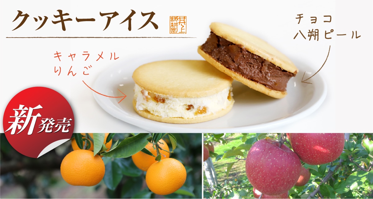 クッキーアイス(約80g×6個)