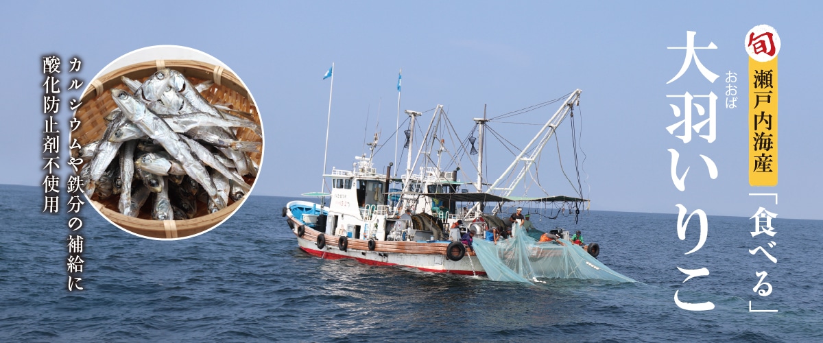瀬戸内海産 食べる大羽いりこ 100g