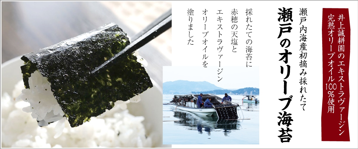 瀬戸のオリーブ海苔 全型8枚(8切64枚)