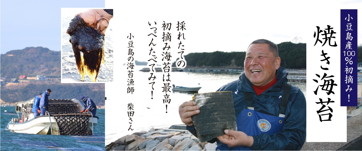 小豆島産100% 初摘み 焼き海苔 全型サイズ(10枚入) 全形サイズ