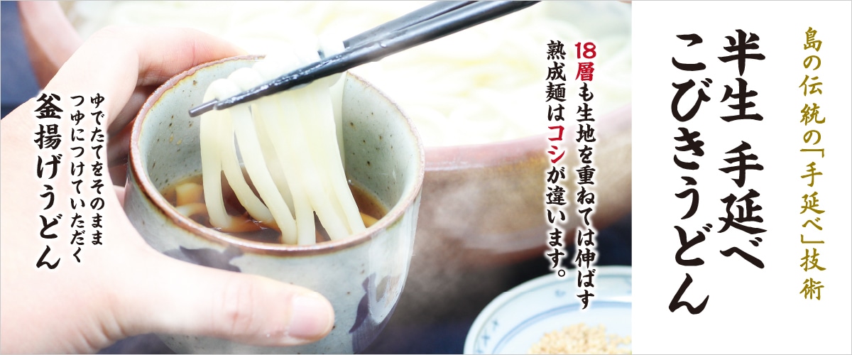 半生手延べこびきうどん 200g 200g