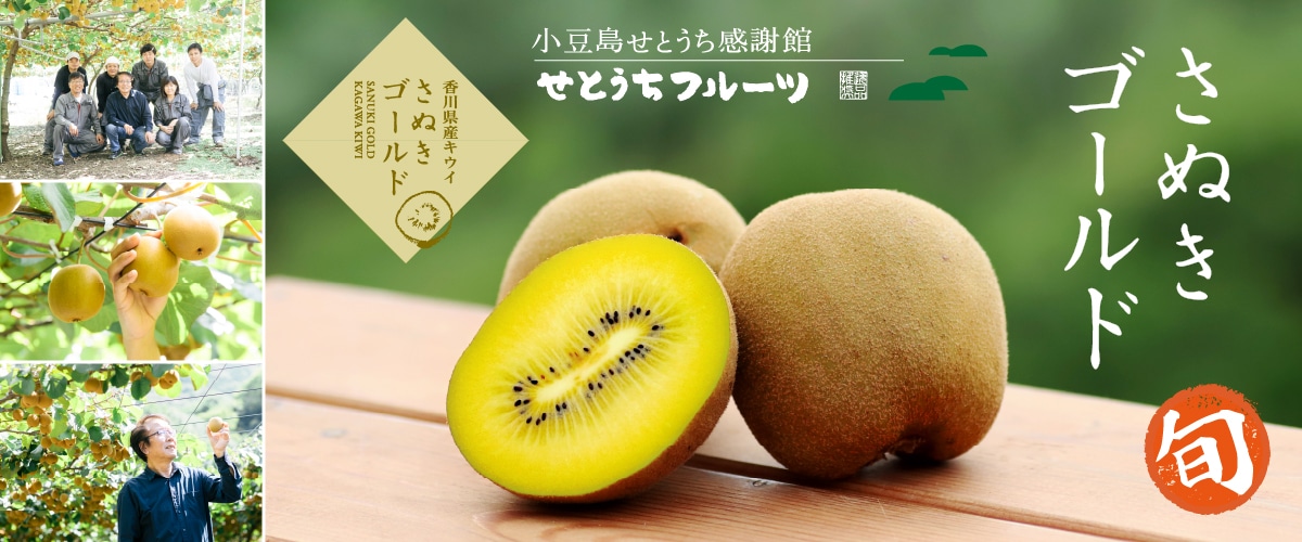 「さぬきゴールド」キウイ 1.5kg