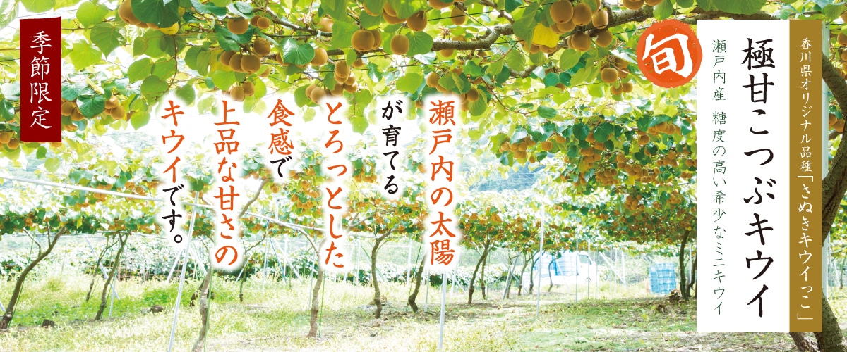 極甘こつぶキウイ 約1.2kg