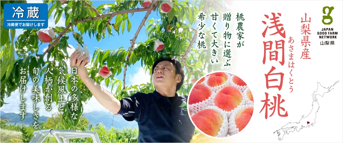 山梨県産 浅間白桃 3号ギフト箱入り(6~10玉) ※送料込み