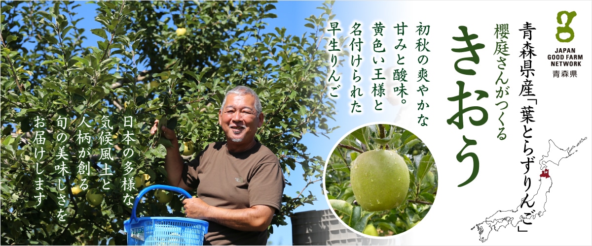 きおう 9~11玉 きおう 9~11玉【送料込み】