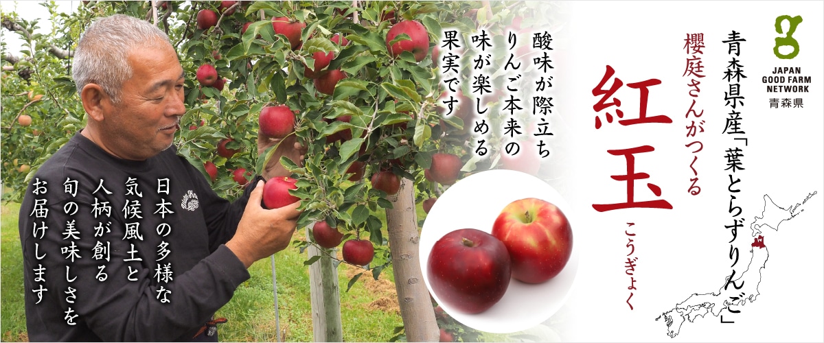 葉とらず 紅玉(こうぎょく) 11~13玉